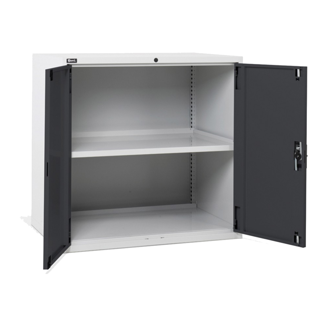 D53A100C01005, Armadio basso per ufficio, 2 ante, L1020 x P726 x H1000 mm