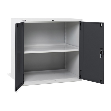 D53A100C01005, Armadio basso per ufficio, 2 ante, L1020 x P726 x H1000 mm