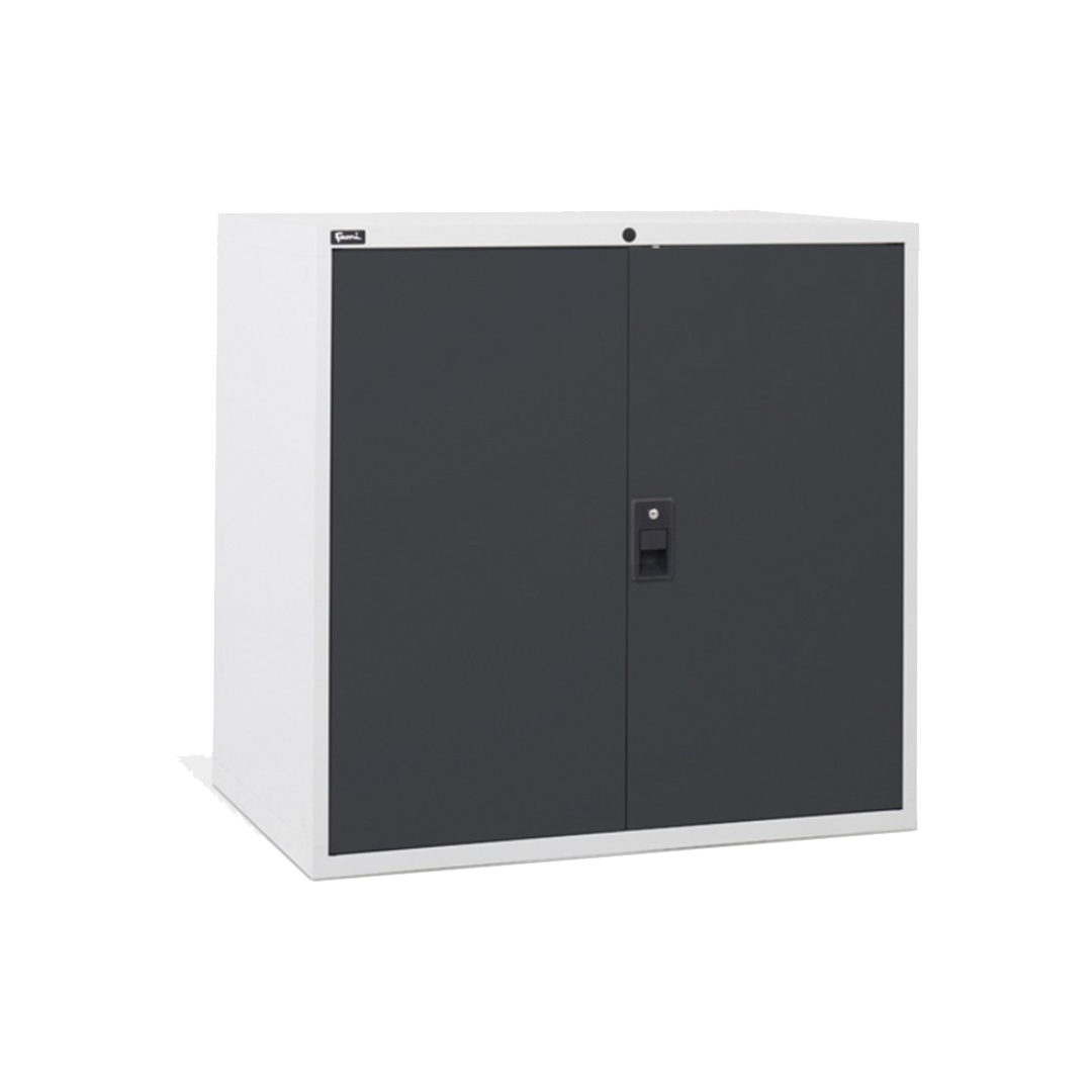 D53A100C01005, Armadio basso per ufficio, 2 ante, L1020 x P726 x H1000 mm