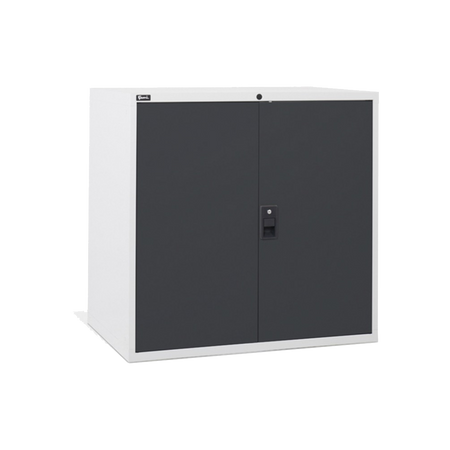 D53A100C01005, Armadio basso per ufficio, 2 ante, L1020 x P726 x H1000 mm