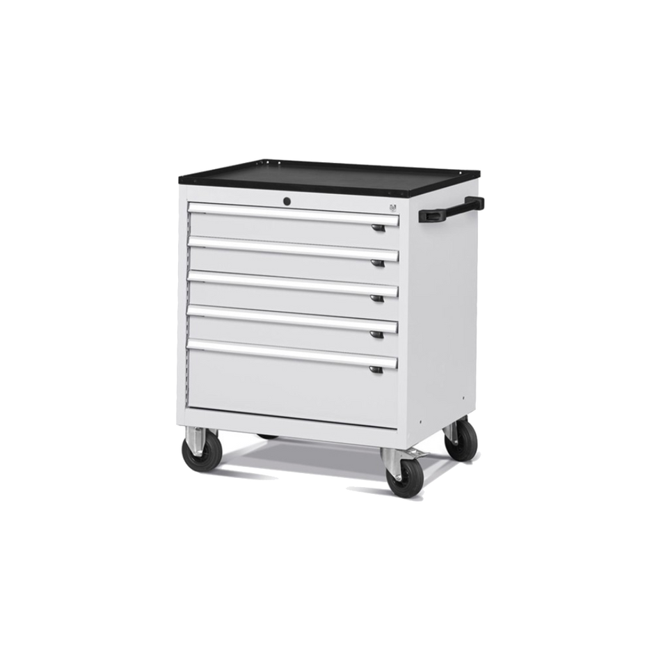 FDGD56001, Cassettiera portautensili con ruote, L794 X P600 X H853 mm, Flexa