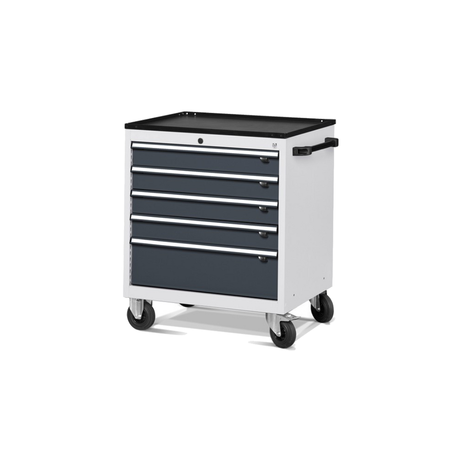 FDGD56001, Cassettiera portautensili con ruote, L794 X P600 X H853 mm, Flexa