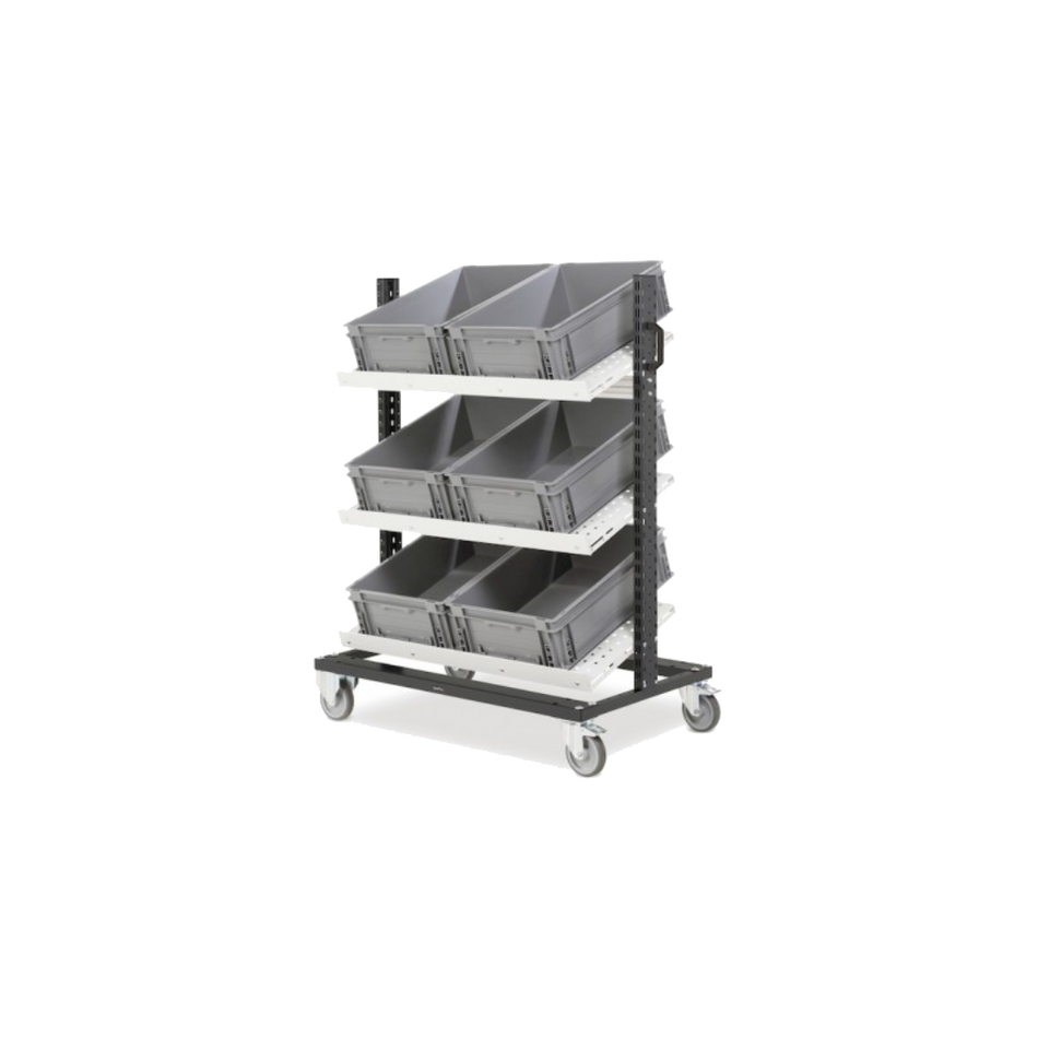 BINCART1004, Carrello per picking magazzino