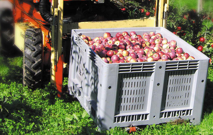 Agribox e Cargopallet