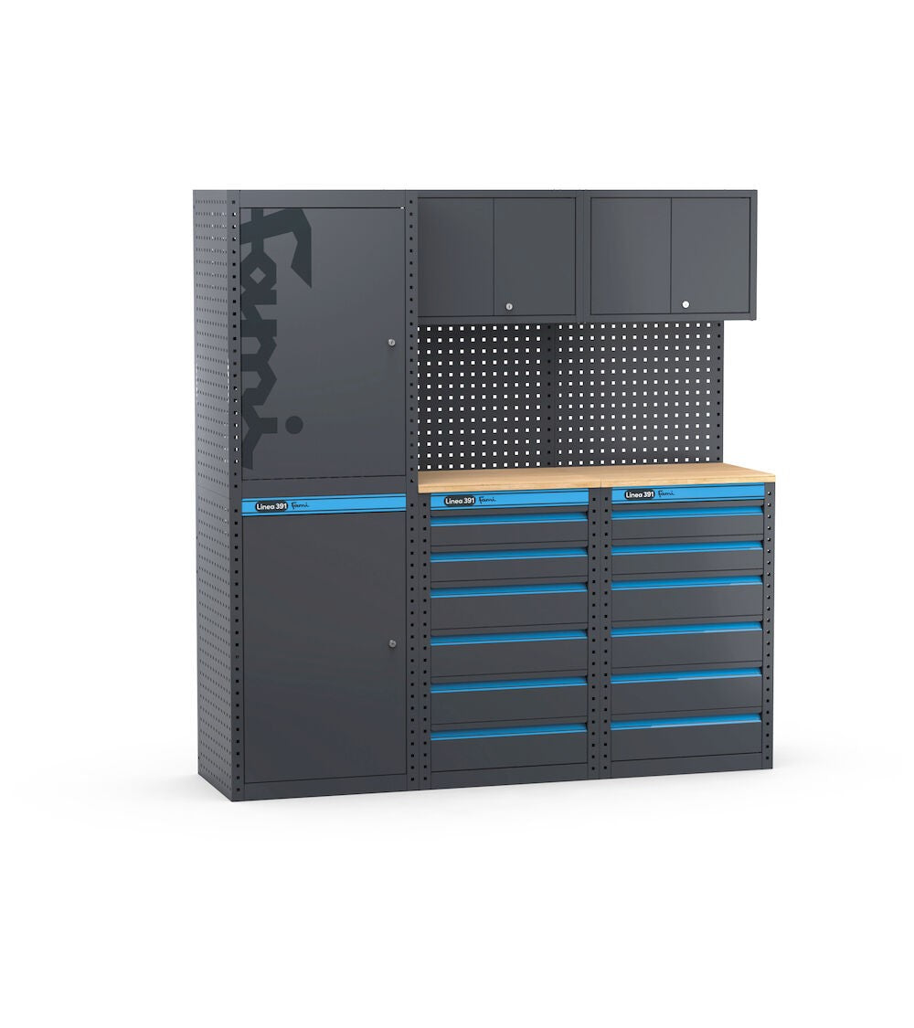 MODULO GARAGE 391 - DIM. MM  L=1824 P=496 A=1900