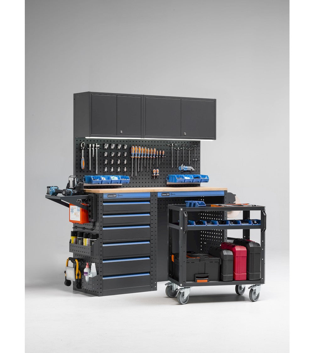 MODULO GARAGE 391 - DIM. MM  L=1520 P=496 A=1900