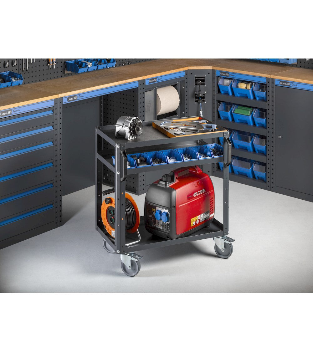 MODULO GARAGE 391 - DIM. MM  L=1560 P=1256 A=1900