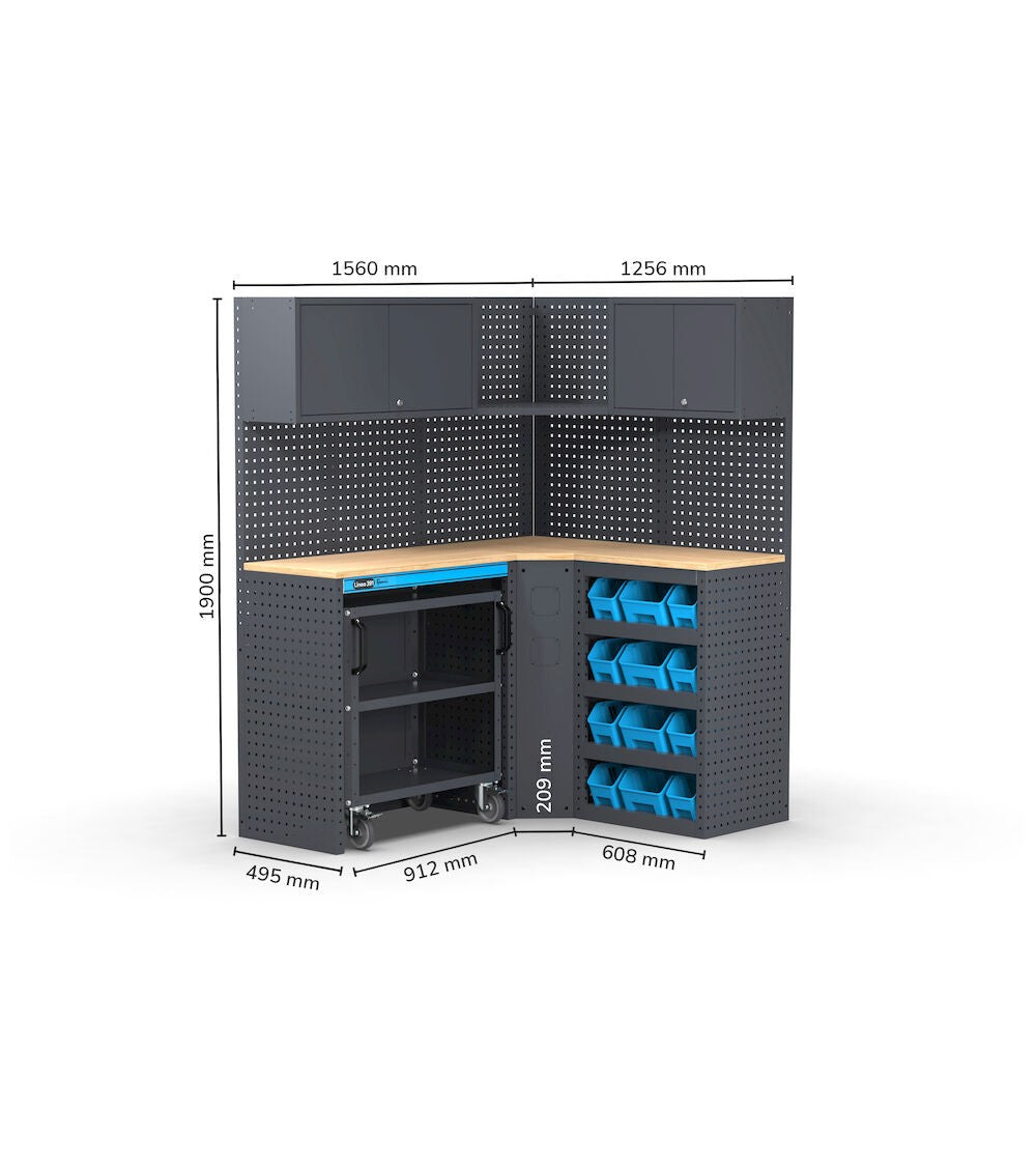 MODULO GARAGE 391 - DIM. MM  L=1560 P=1256 A=1900
