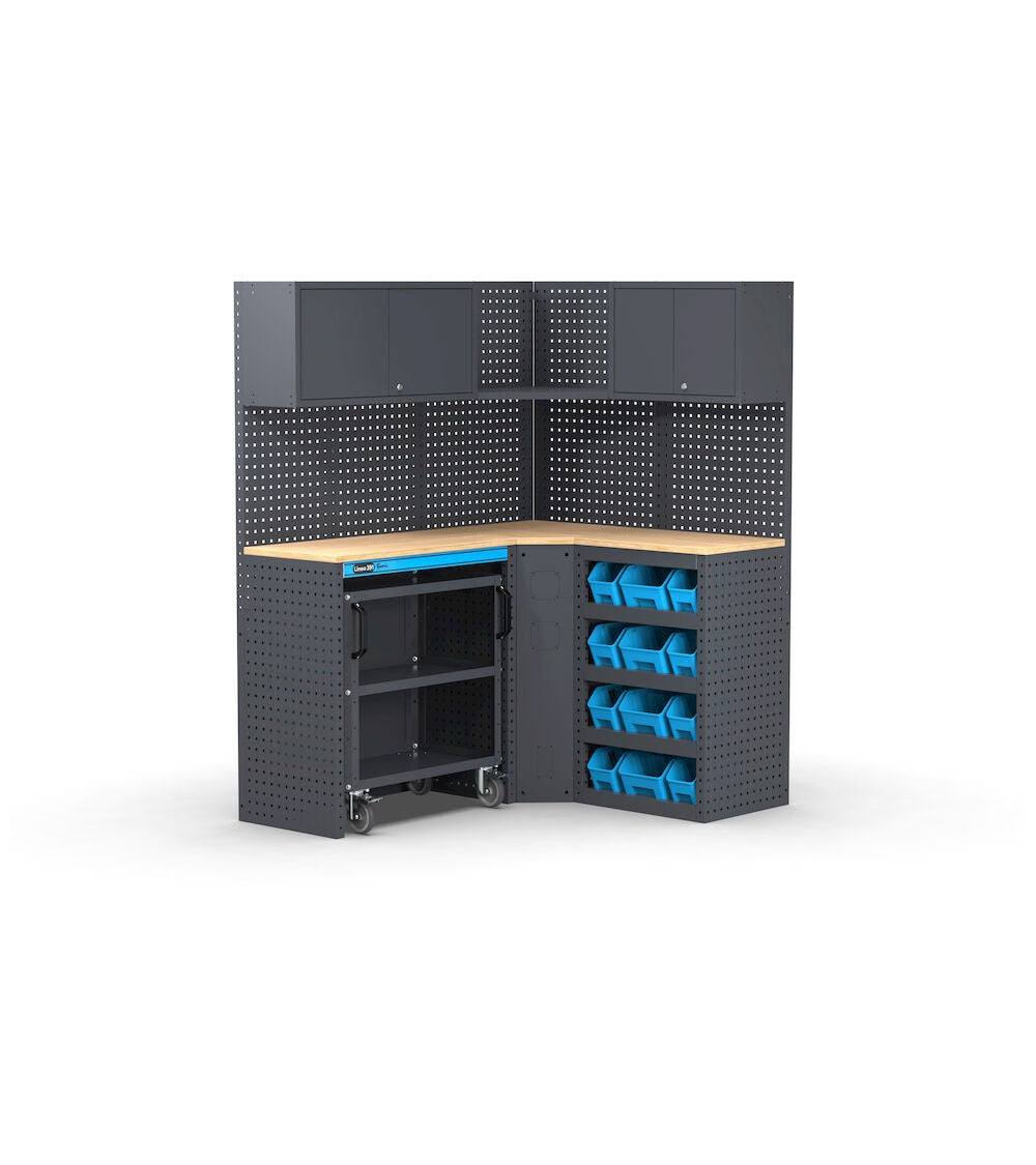 MODULO GARAGE 391 - DIM. MM  L=1560 P=1256 A=1900