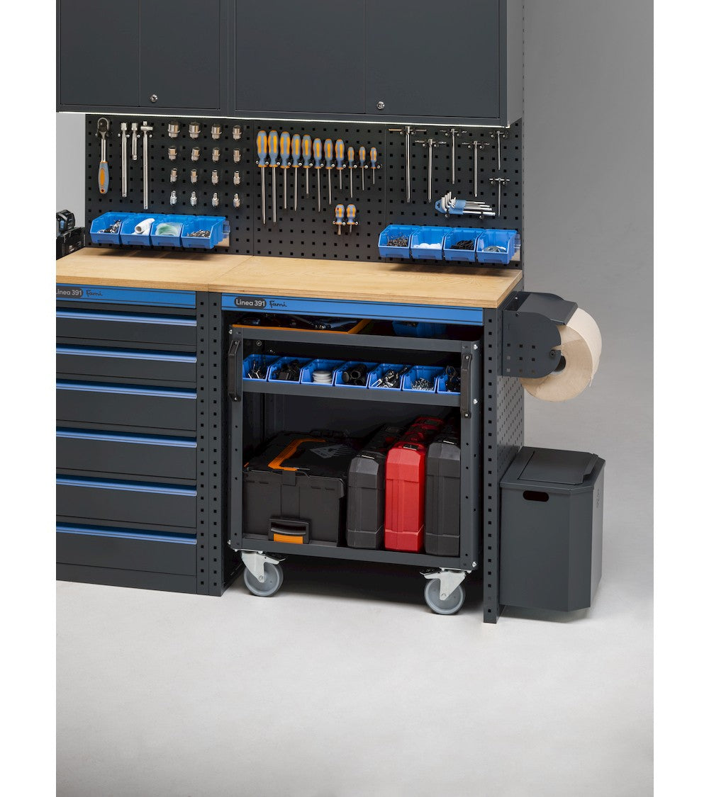 MODULO GARAGE 391 - DIM. MM  L=3952 P=496 A=1900