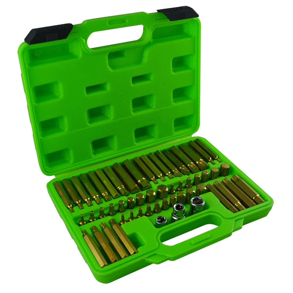 Case with 55 screw bits