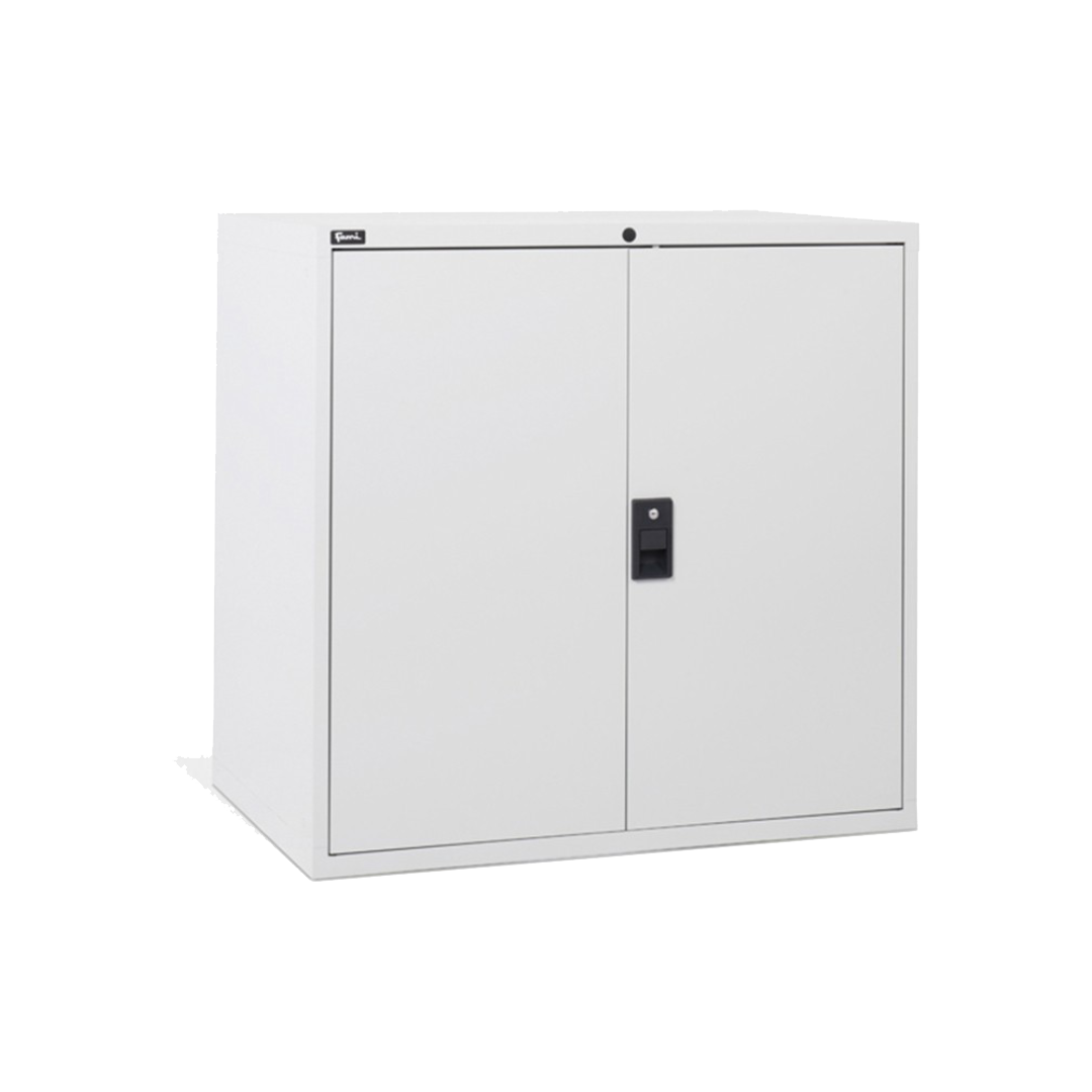 D53A100C01005, Armadio basso per ufficio, 2 ante, L1020 x P726 x H1000 mm