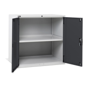 D53A100C01005, Armadio basso per ufficio, 2 ante, L1020 x P726 x H1000 mm