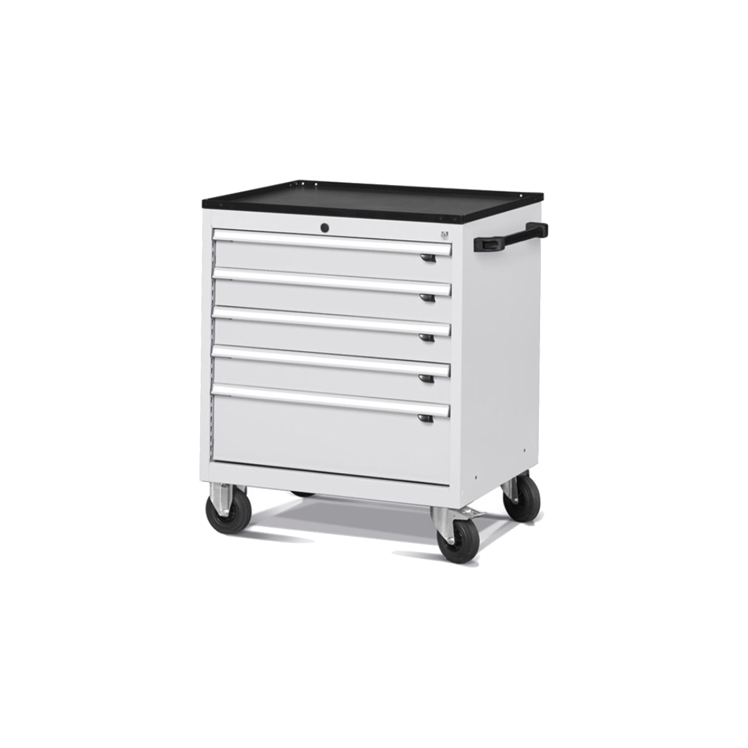 FDGD56001, Cassettiera portautensili con ruote, L794 X P600 X H853 mm, Flexa