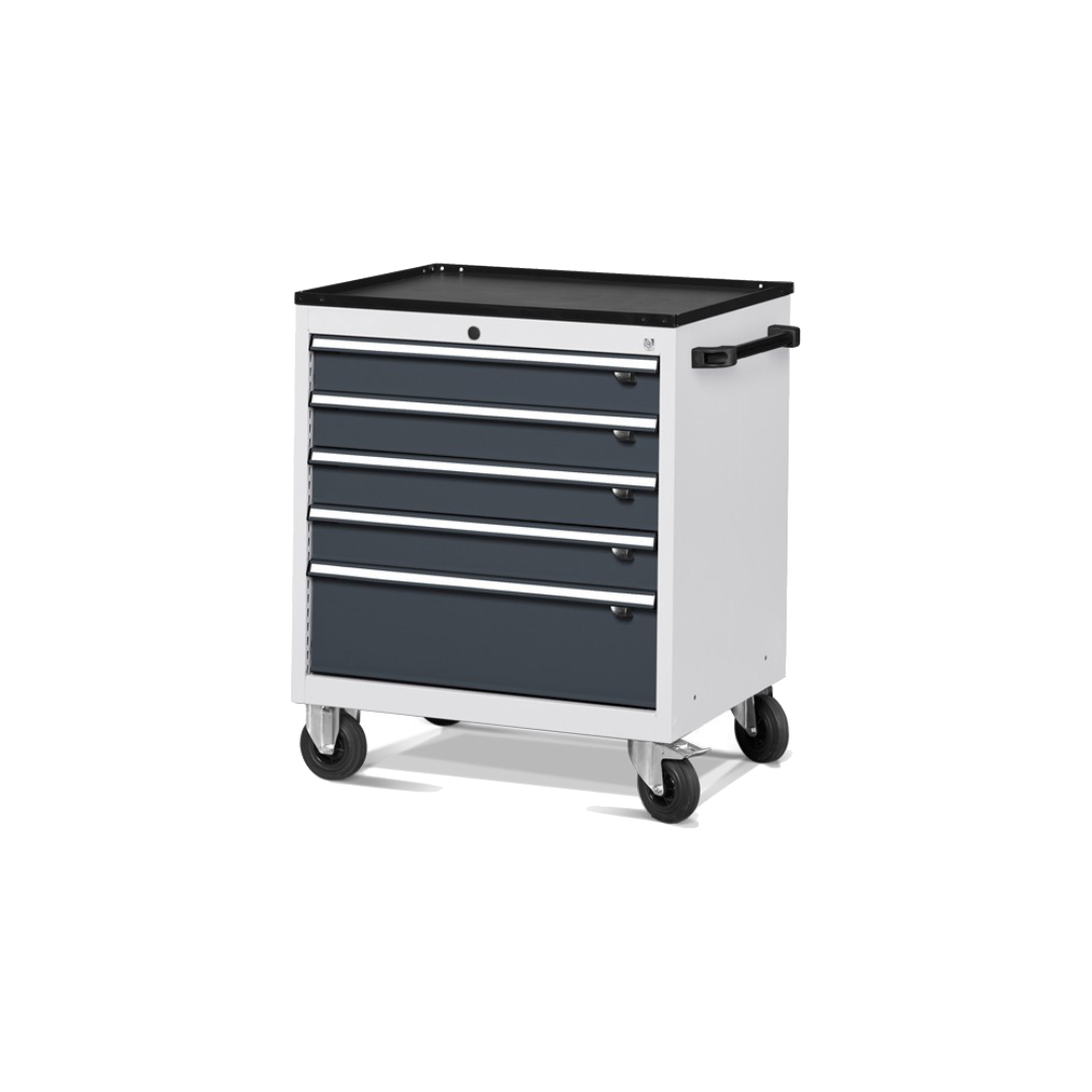 FDGD56001, Cassettiera portautensili con ruote, L794 X P600 X H853 mm, Flexa