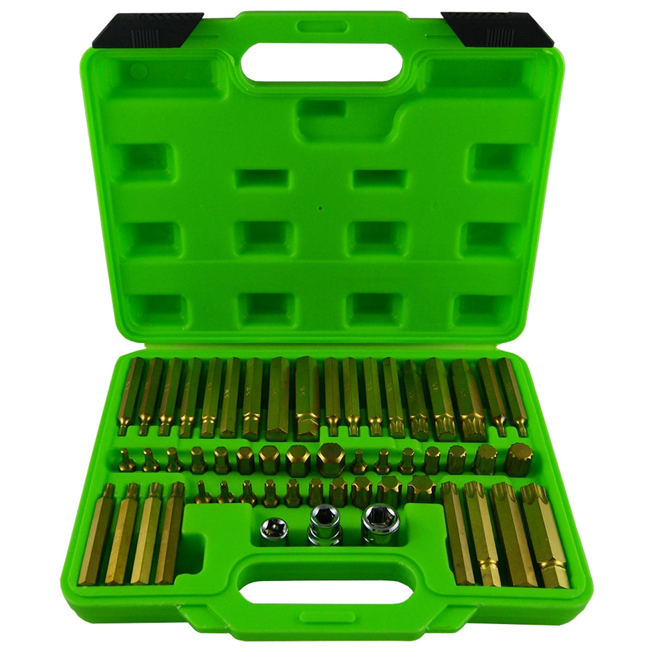 Case with 55 screw bits